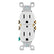 Contacto Dúplex Leviton, 15A, 125V, 2 Polos + Tierra, Blanco