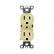 Contacto Doble Argos Aterrizado 15A 127V Color Marfil
