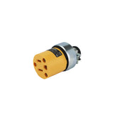 Contacto Industrial Metálico Aterrizado Sanelec, 15A 127V | SE324665 - imagen 2