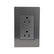 Placa Sanelec Línea Córdoba de Acero Inoxidable con Contacto Doble Aterrizado 127V | SE346339