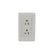Placa Sanelec Línea Italia con Contacto Doble Aterrizado 127V | SE344502