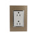 Placa Sanelec Línea Venecia Champagne con Contacto Doble Aterrizado 127V | SE345585