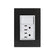 Placa Sanelec Línea Venecia Humo con Apagador y Contacto Doble Aterrizado 127V | SE345431