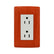 Placa Sanelec Línea Wooden con Contacto Doble Aterrizado 127V | SE345127