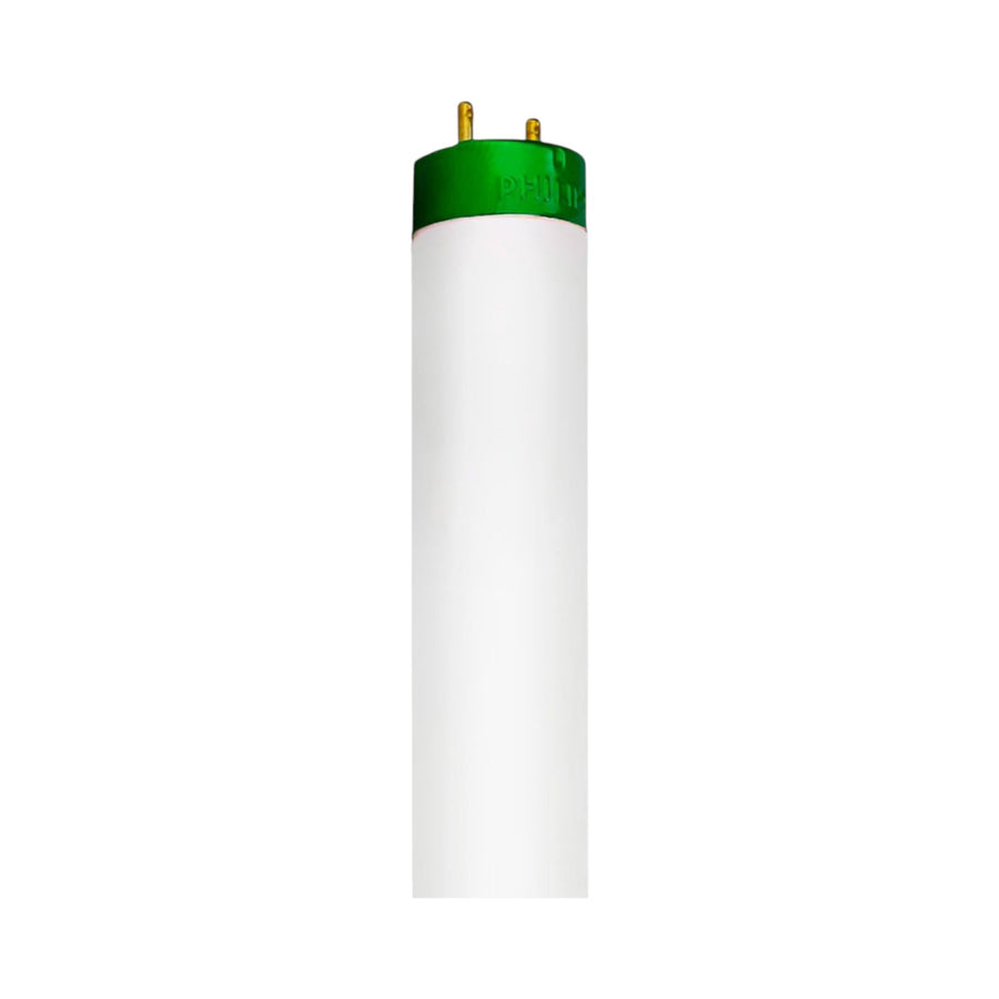 Tubo Fluorescente Philips T8 Plus 17W 6500K 60 cm 927850186502